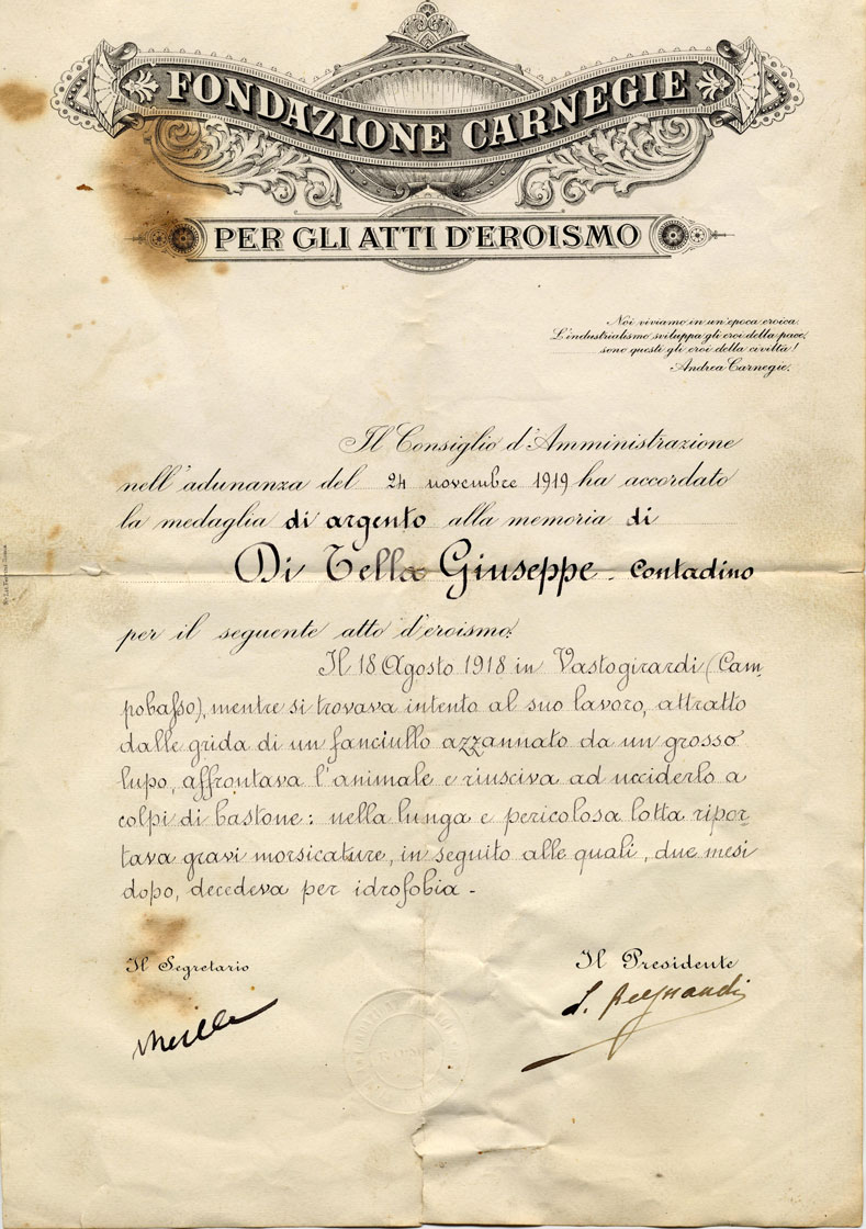 Attestato fondazione CARNEGIE 